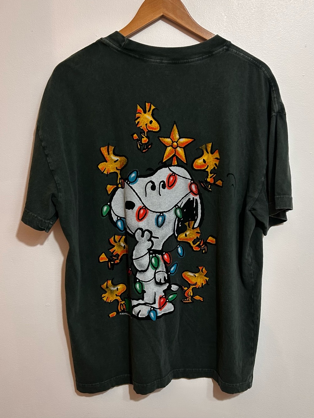 Abercrombie & Fitch Snoopy & Woodstock Holiday Dog Tee